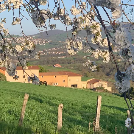 Holiday home Belle Vue A Proche De Lyon *